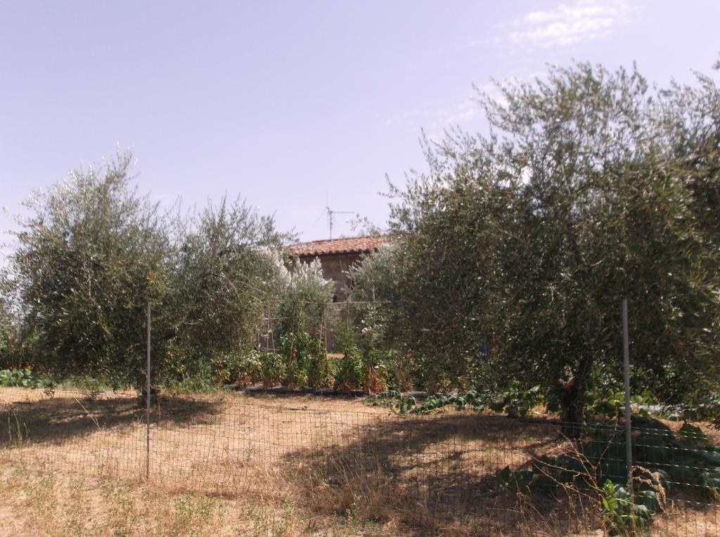 Locazione Turistica Ex Le Casette Di Cedromonte Panicale Exterior photo